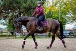 Pikeur / Rosalia Blackberry