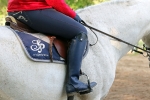 Cavallo / Chelsea Blau / Dynamic Pro Blau