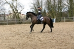 Cavallo / Grand Prix Schwarz 