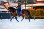 Cavallo / Junior Jump Schwarz