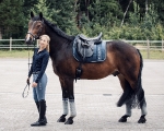 Cavallo / Junior Jump Schwarz 