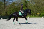 Cavallo / Junior Schwarz