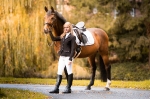 Cavallo / Junior Schwarz