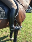 Cavallo / Junior XL Schwarz