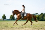 Healthy Horse / Classico Schwarz