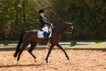 Healthys Horse / Classico Schwarz 