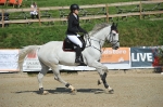 Mountain Horse / Sovereign High Rider Springen Schwarz