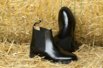 RidersChoice / Leder-Chelseastiefelette