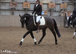 Turnier-Outfits / Dressur
